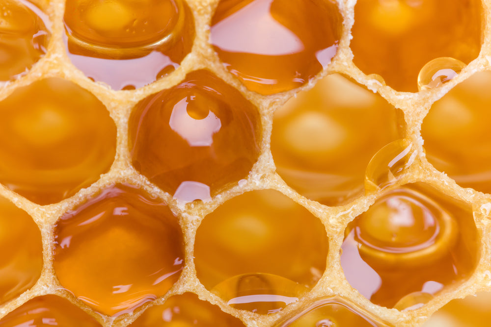 New Zealand Honeys